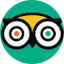 TripAdvisor Reviews