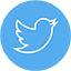 Twitter Page