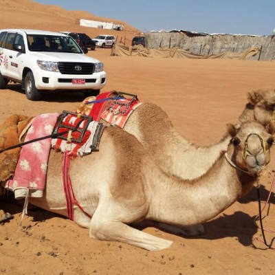 Wahiba Sands and Wadi Bani Khaled Safari