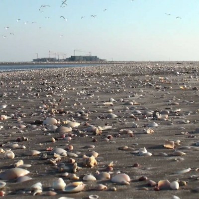 10 Days Muscat and Salalah, Ultimate Tour Tour Package