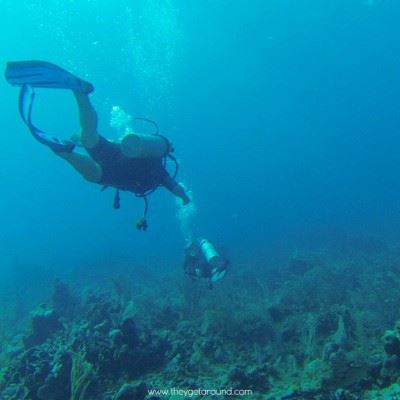 Diving In Khasab Sea Safari